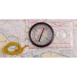 Compass, motion measurement device